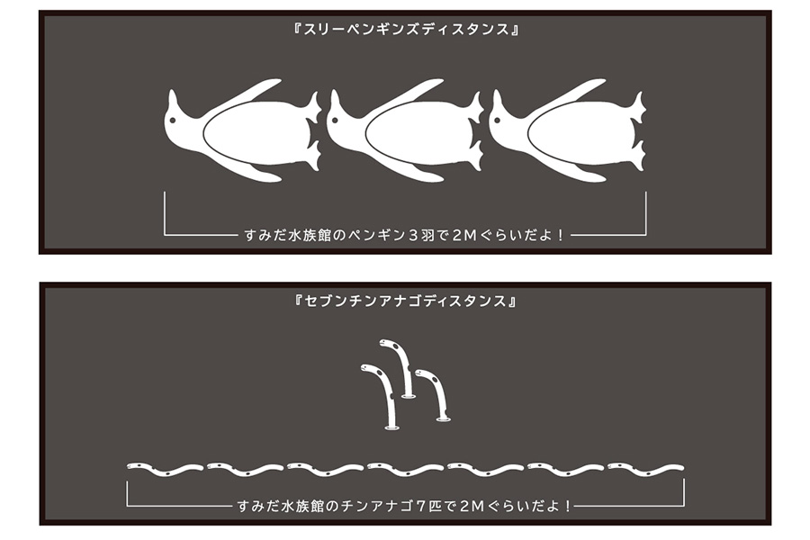 チンアナゴ7匹で2メートルに！