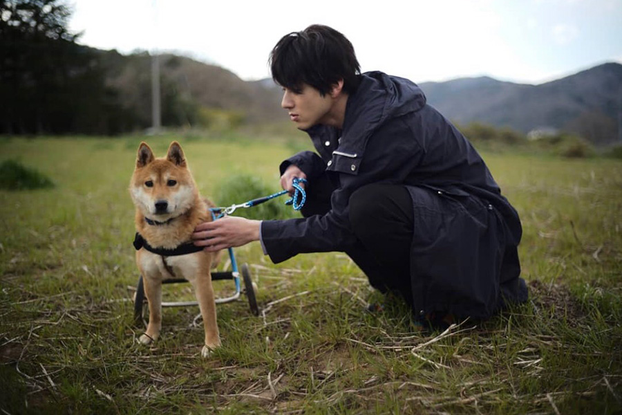 山田裕貴、保護犬や愛犬とふれあう姿に反響「優しさがわんちゃんに伝わってるのがわかる」