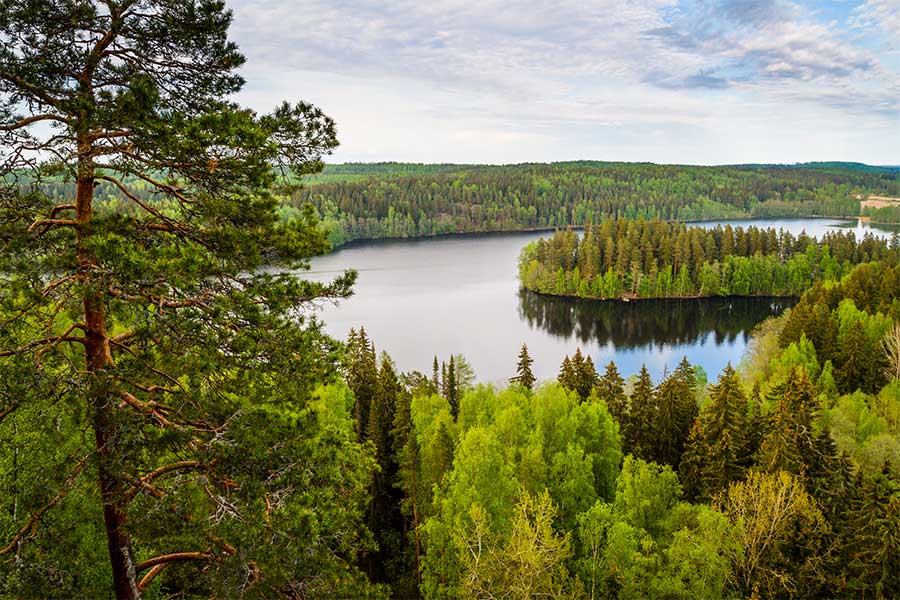 “森と湖の国”フィンランドは自然がいっぱい【写真提供：Visit Finland】