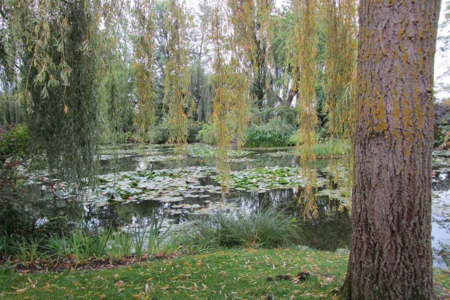 画家クロード・モネが「睡蓮」を描いた池【写真提供：峯田淳】