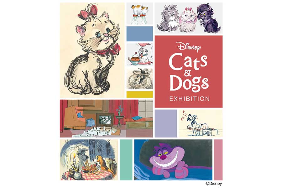 ディズニーの名作“犬と猫”テーマの展覧会が開催　貴重なアート作品を300点以上展示