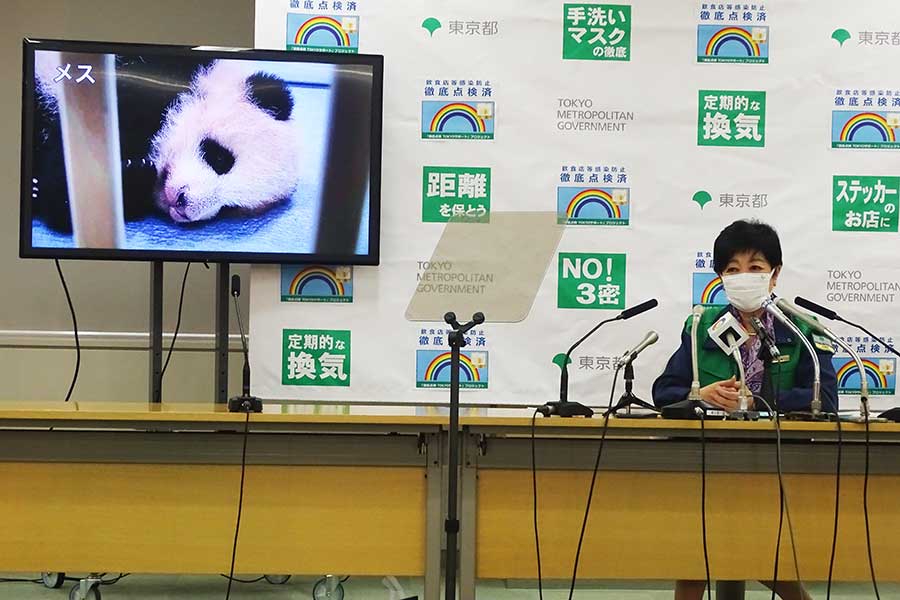 上野動物園の双子パンダ、名前がシャオシャオとレイレイに決定　小池都知事が発表