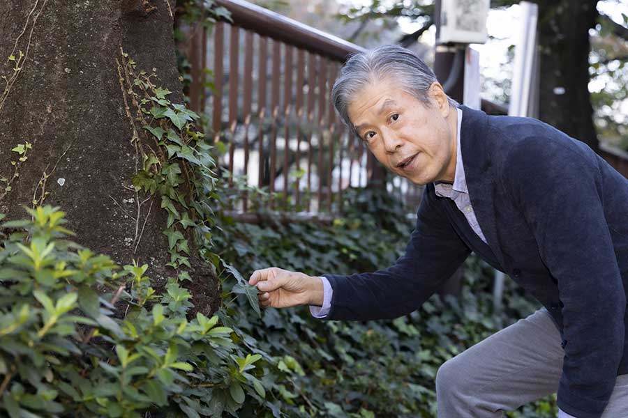 緊急事態宣言下では野草を堪能していた【写真：山口比佐夫】