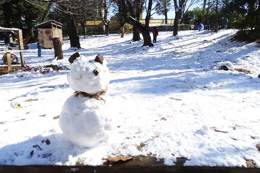 首都圏で降雪。誰かが作った雪だるまの姿も見られた【写真：ENCOUNT編集部】
