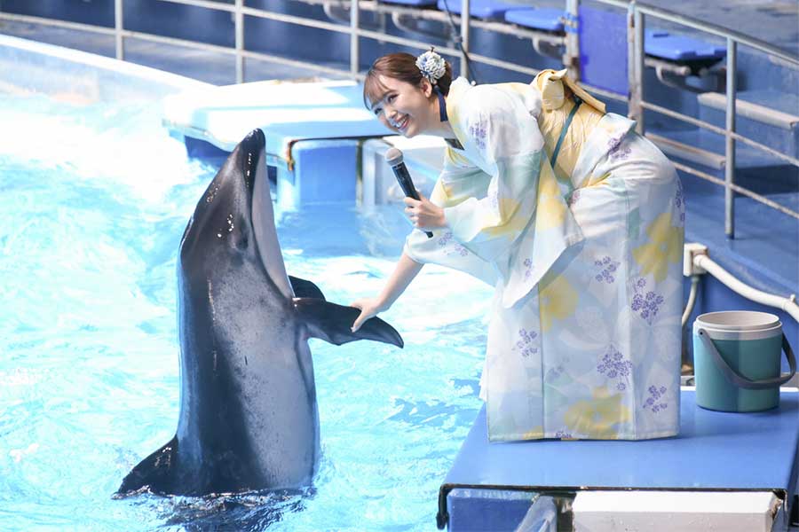 イルカと握手する藤田ニコル【写真：ENCOUNT編集部】