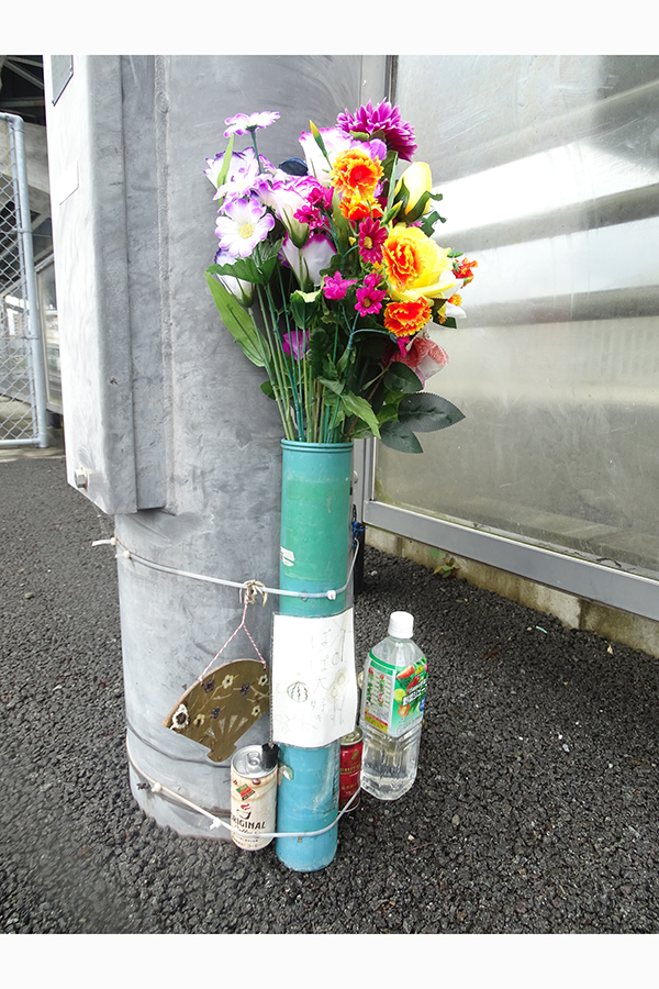花が供えられた事故現場の交差点【写真：ENCOUNT編集部】