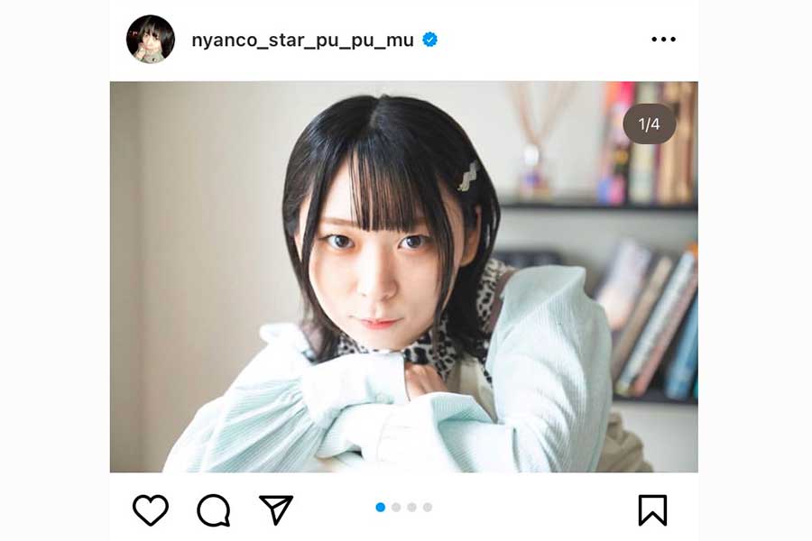 「にゃんこスター」のアンゴラ村長【写真：インスタグラム（@nyanco_star_pu_pu_mu）より】