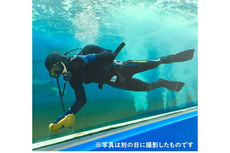 のとじま水族館が行った感謝の投稿【写真：ツイッター（@notoaqua_jp）より】