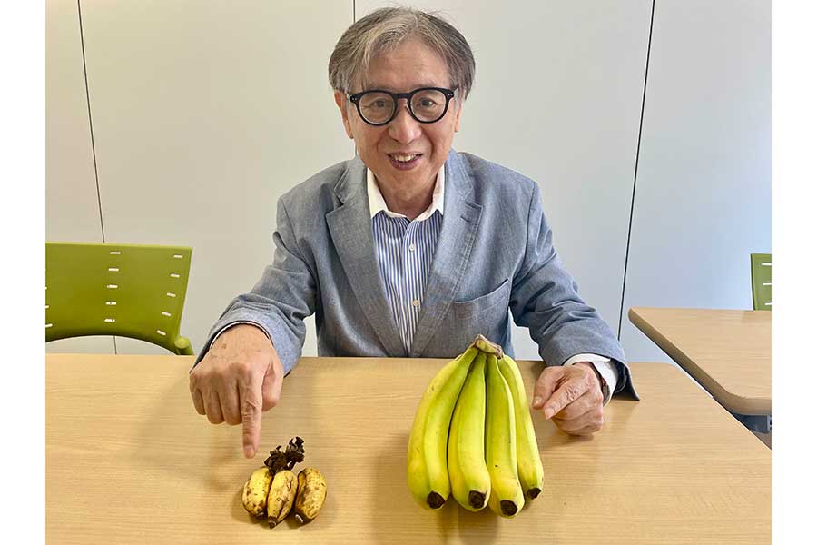 長さ6センチ、小ぶりな島バナナ（左）を希少さを語る森田正光さん【写真：ENCOUNT編集部】