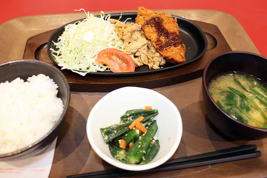 豚のしょうが焼きとヒレカツのあいもり定食は大満足のランチだった【写真：ENCOUNT編集部】