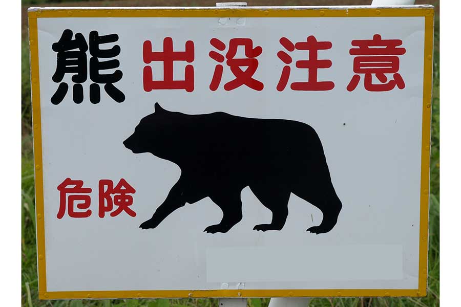 秋田のクマ被害、駆除への“無責任”クレームに近隣住民が猛反論「子どもの命がかかっている」
