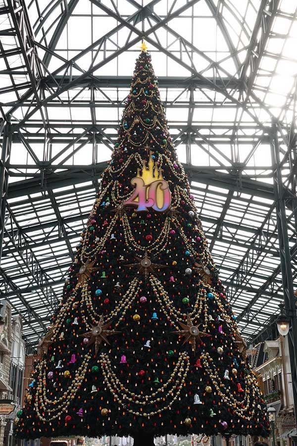 40周年仕様の巨大クリスマスツリー【写真：(C)Disney】