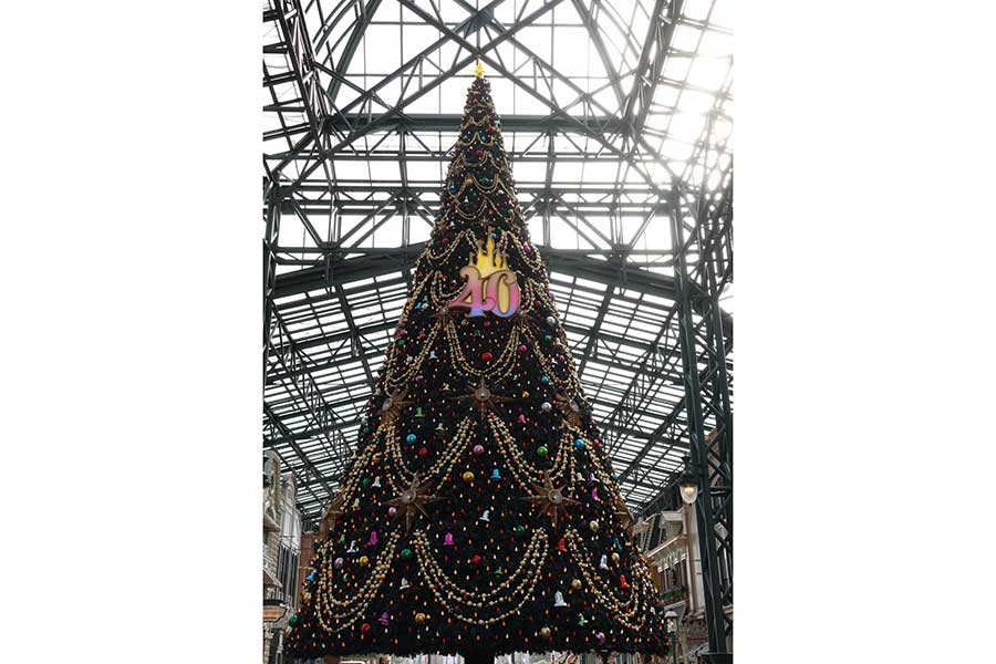 東京ディズニーランド、クリスマスがいよいよ開幕へ　巨大ツリー＆装飾は40周年仕様に