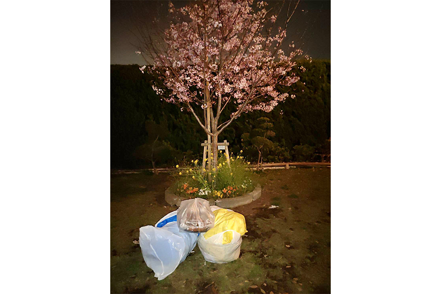 動物公園の夜桜の景観がごみで台無しだ【写真：川崎市夢見ヶ崎動物公園提供】