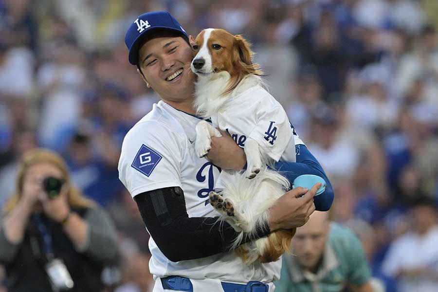 大谷愛犬の始球式で日本のボールボーイ犬が注目　人気芸人の投稿に「懐かしい」「賢かったなあ」