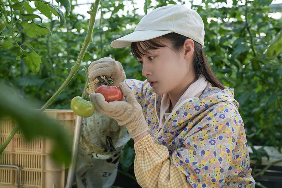 農作業に従事する結（橋本環奈）【写真：(C)NHK】