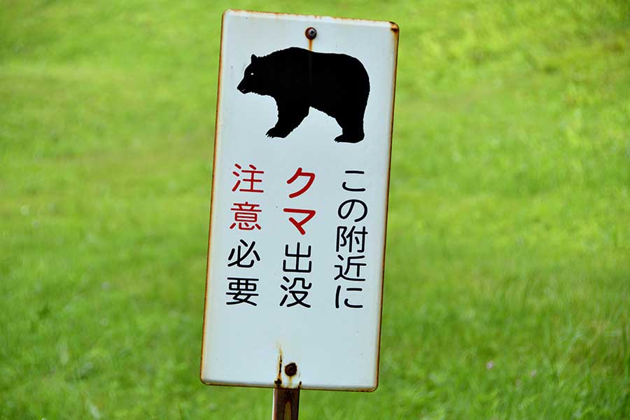 スーパーに侵入し、3日間にわたり立てこもりったクマの報道が波紋（写真はイメージ）【写真：写真AC】