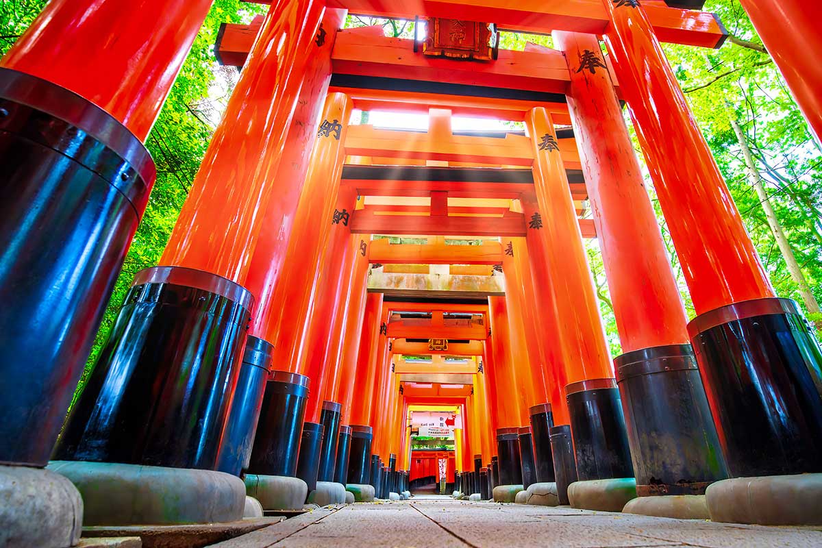 全国の稲荷神社の総本社で、千本鳥居でも有名な伏見稲荷大社（写真はイメージ）【写真：写真AC】