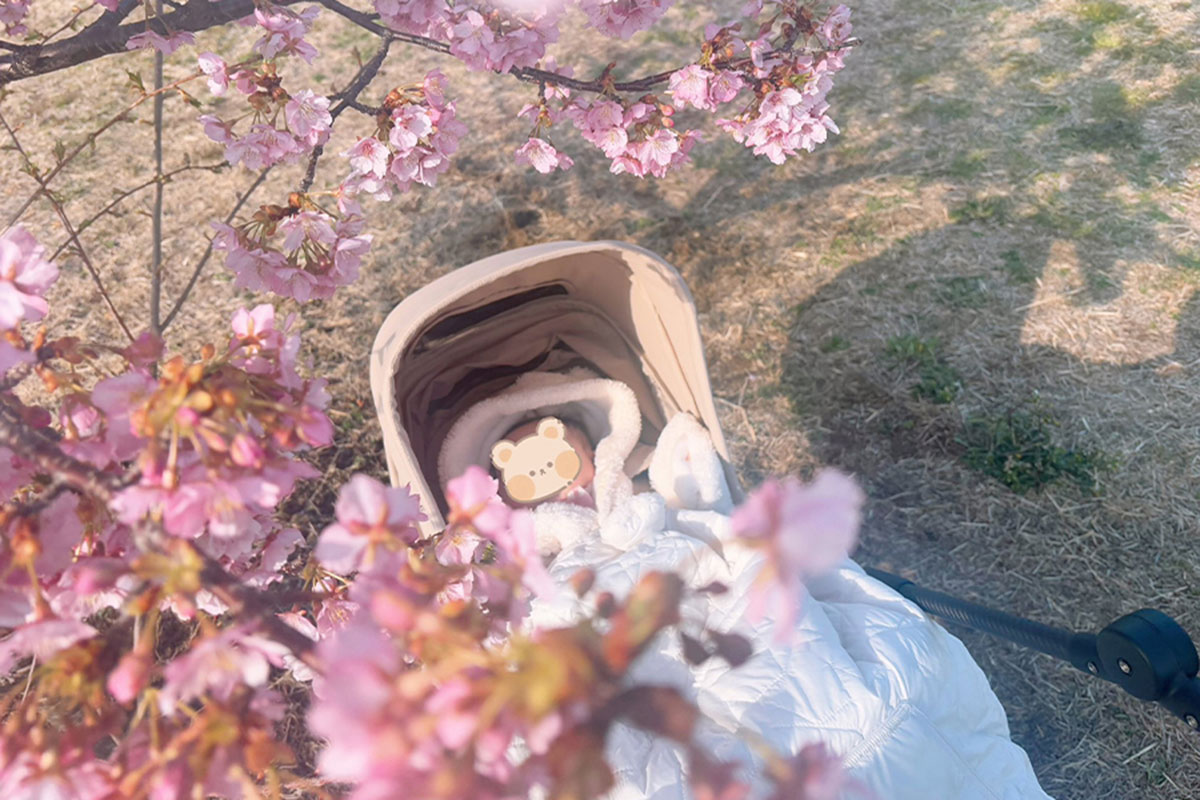 ベビーカーで花見中に高齢男性から突然の声かけ…“神アドバイス”で写真が激変　ネット感嘆「お見事です」