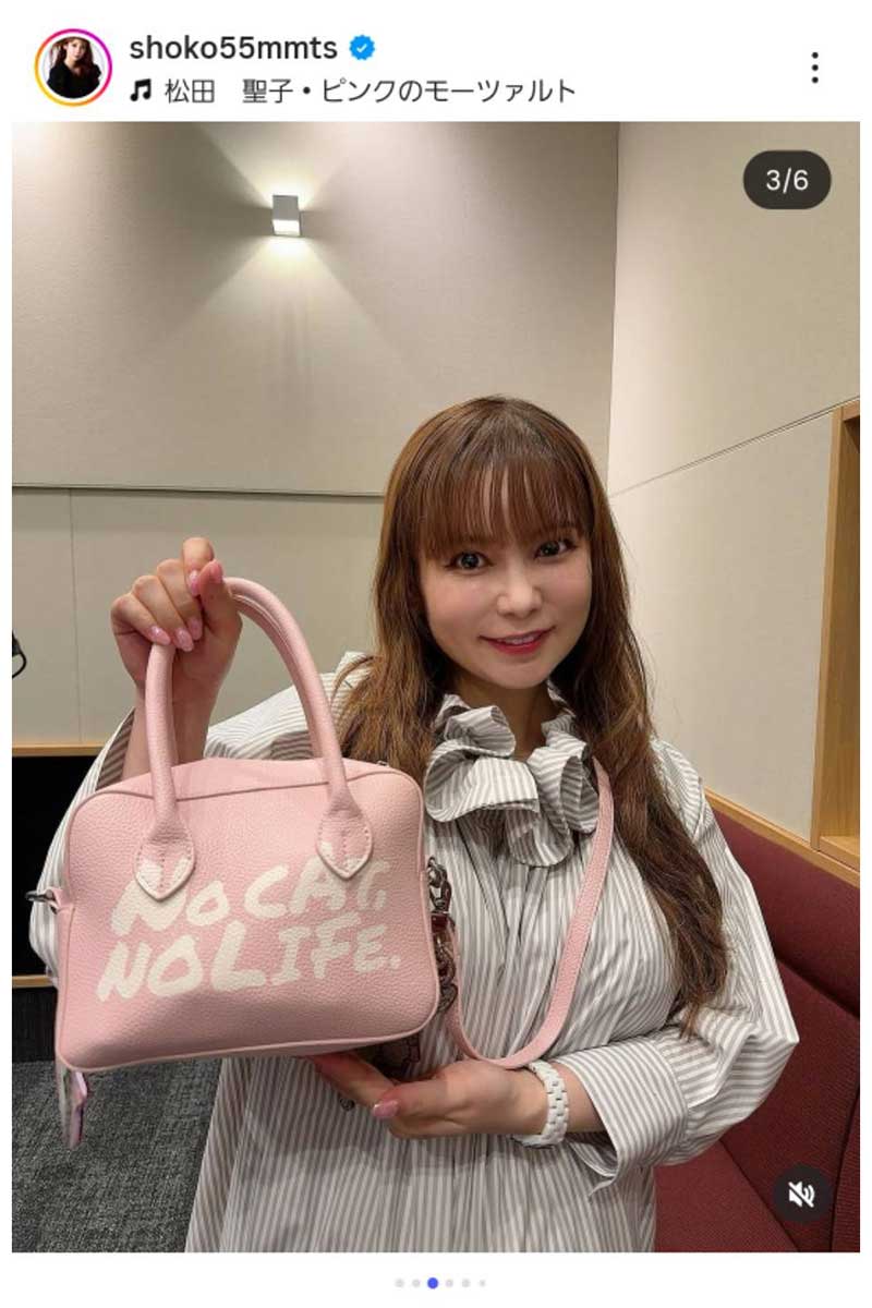 中川翔子の実際の投稿【写真:インスタグラム(@shoko55mmts)より】