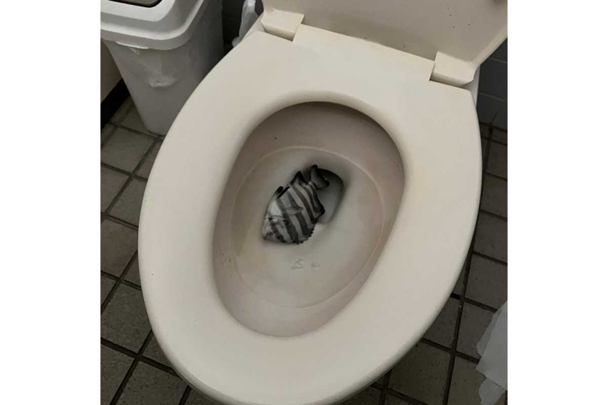 釣り場近くのトイレで衝撃の出来事が【写真：本人提供】