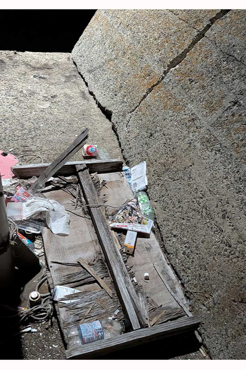 プラスチックごみは環境に甚大被害【写真:本人提供】