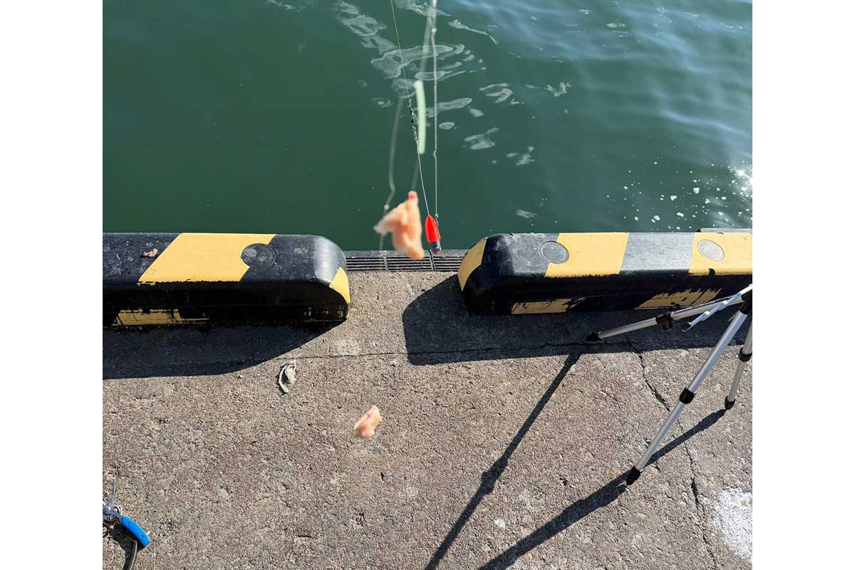 マグロの刺身で衝撃の釣果【写真:本人提供】