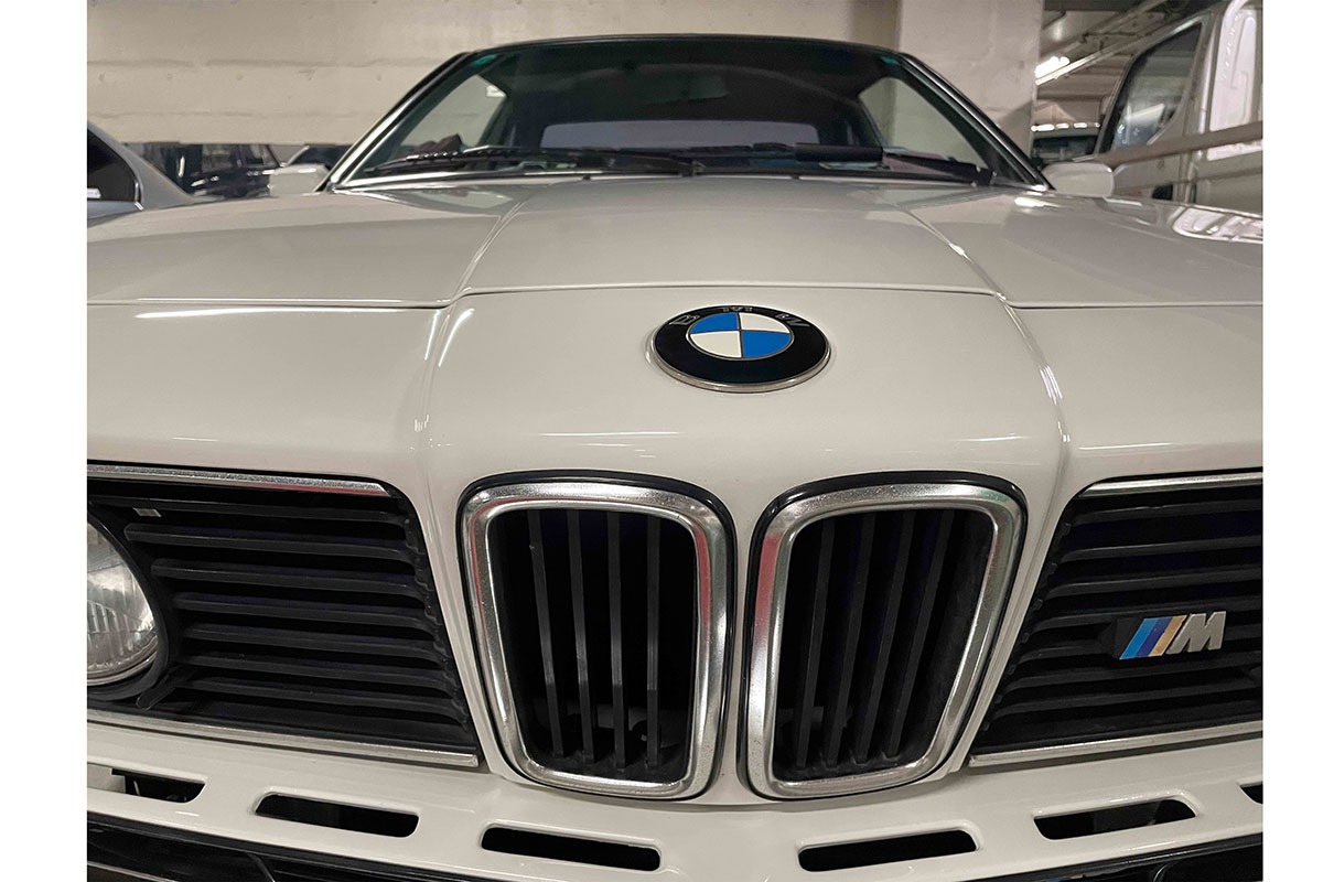 一目見てほれ込んだ【写真:ENCOUNT編集部】