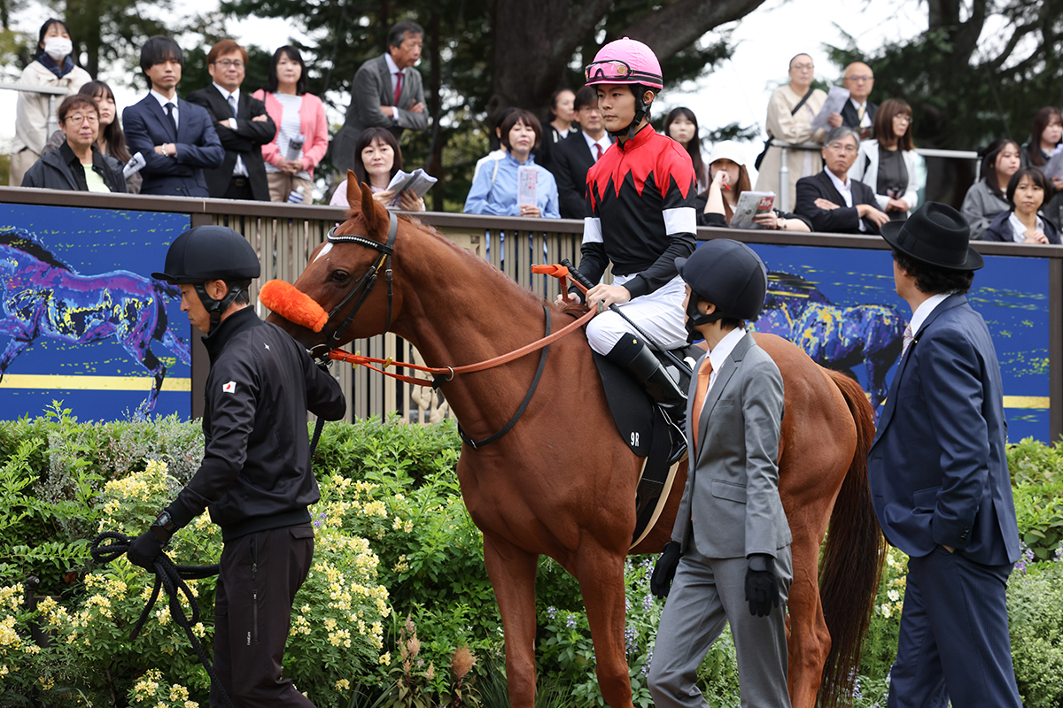 『ザ・ロイヤルファミリー』またまた“元騎手”登場　顔出しアップで「びっくり」「もはやレギュラー」とファン注目