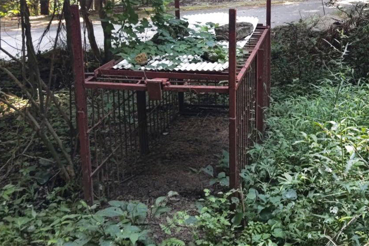 「マジで迷惑」猟友会怒り…駆除用の箱わなドアが連続盗難　異常事態にネット「最悪の嫌がらせ」