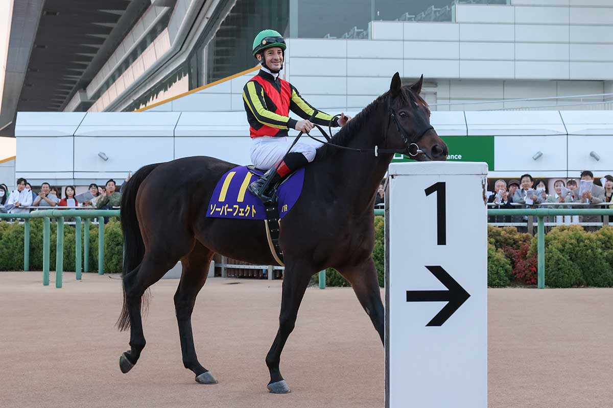 本人役で出演したクリストフ・ルメール騎手【写真:(C)TBSスパークル/TBS】