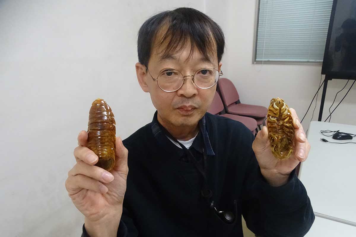 ダイオウグソクムシの標本を手にする東京海洋大の大迫一史教授【写真：ENCOUNT編集部】