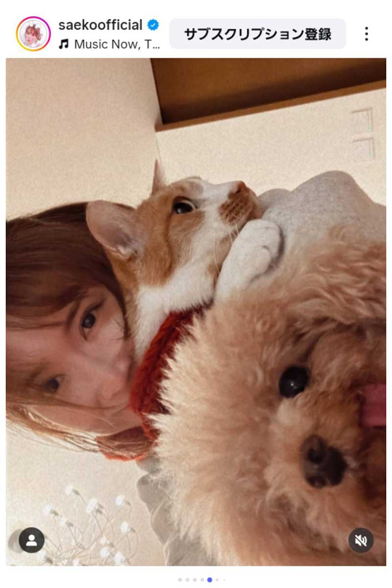 紗栄子の実際の投稿【写真：インスタグラム（＠saekoofficial）より】