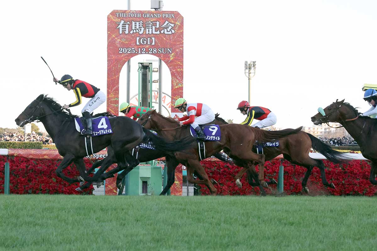 競馬のG1有馬記念が12月28日に行われた【写真:産経新聞社】