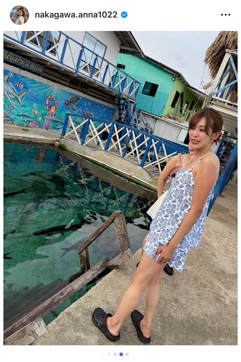 中川安奈アナの実際の投稿【写真：インスタグラム（＠nakagawa.anna1022）より】