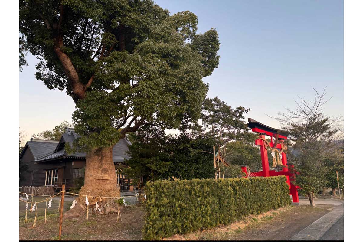 「お守り余ってしまった」千葉の神社、異例の“正直投稿”に反響　その裏にある「潔斎」と「手作り」の真心