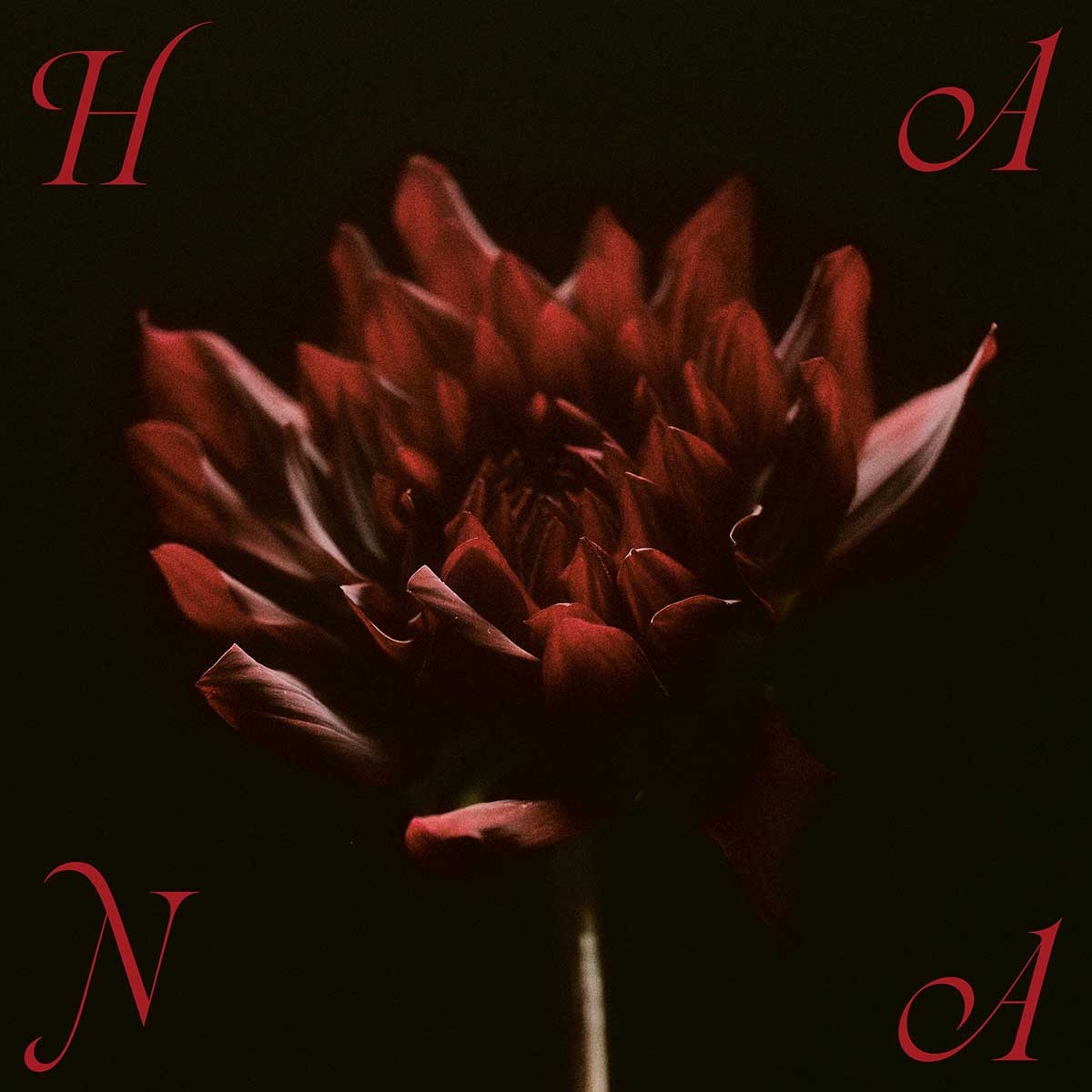 完全生産限定盤と通常盤の2形態で発売