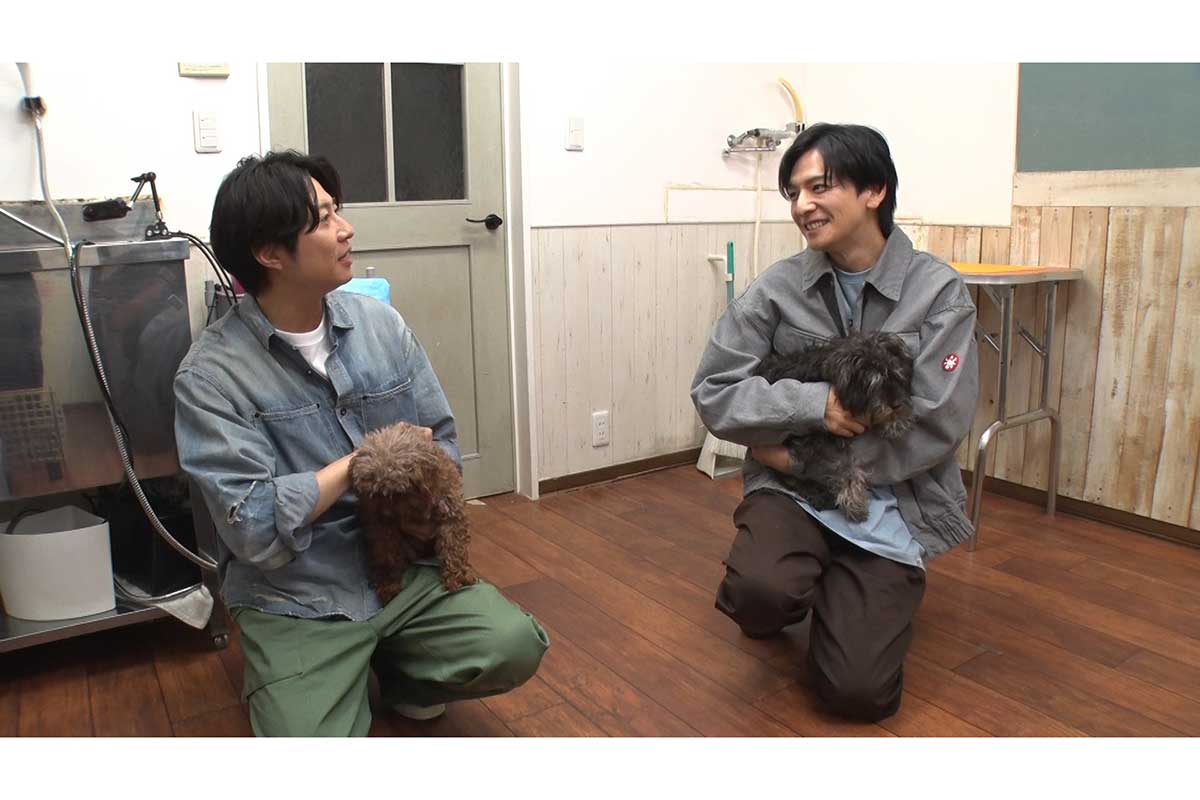 愛犬家の生田斗真、保護犬トリミング初挑戦　30年来の友人・相葉雅紀と嵐結成前の秘話も