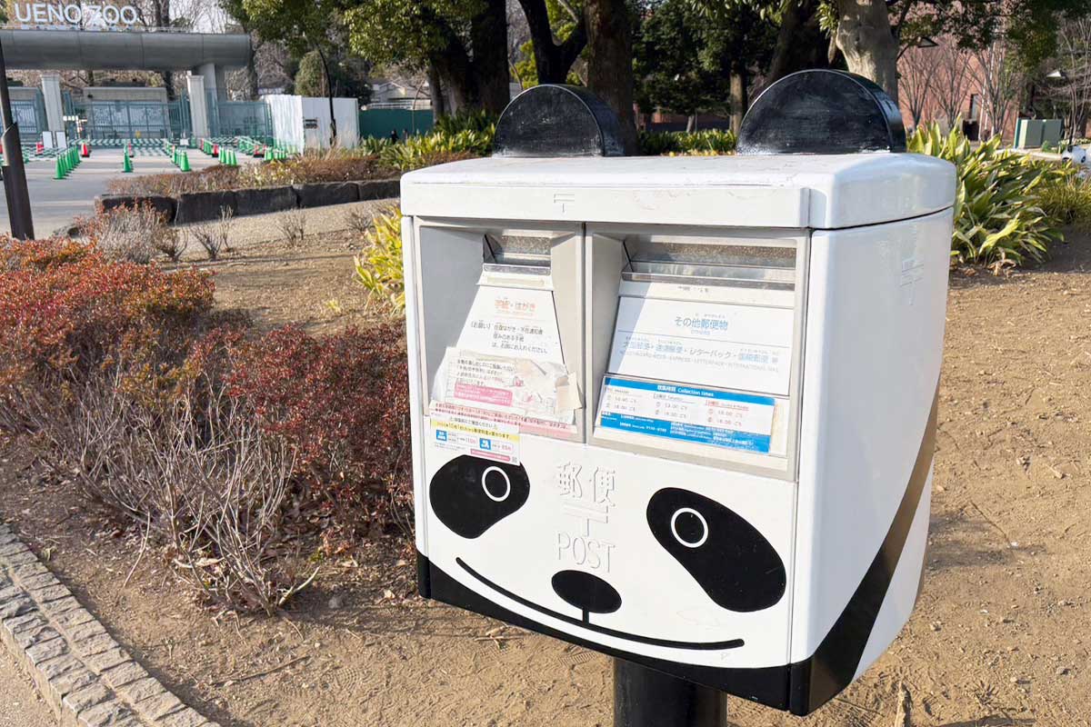 上野動物園のパンダ返還で国内不在　名物“パンダポスト”の存続は？「気になる」の声…日本郵便が回答