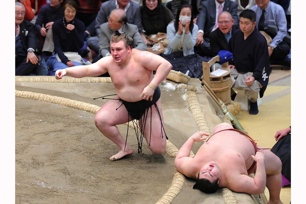 「目立つなあ」「それにしても気になる」大相撲千秋楽で人気芸人チラチラ…はなわに反響「リアクションが毎回オモロイw」