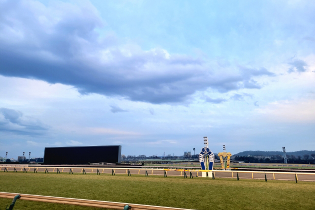 YouTuberけーすけが皐月賞で驚異的な的中【写真：写真AC】