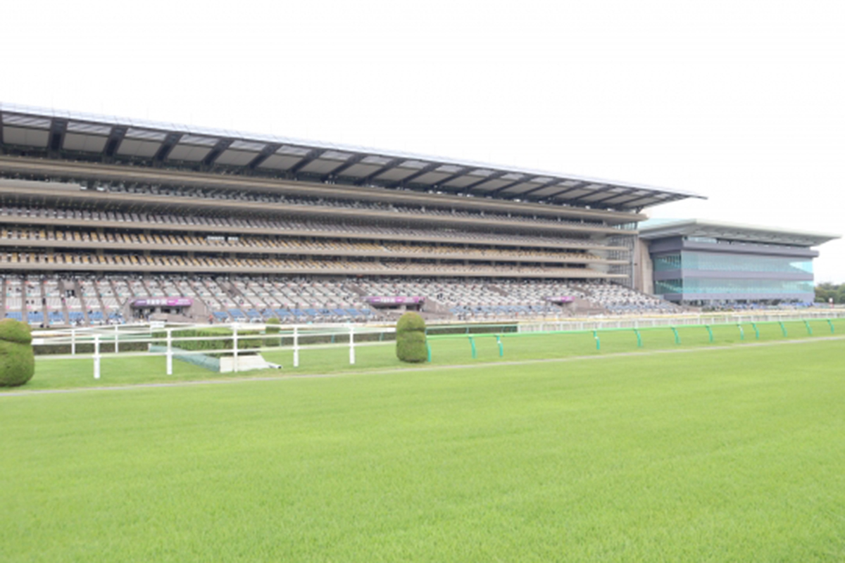 東京競馬場でまさかの光景「何じゃこりゃw」「スゲ～！」とネット騒然　YouTuberのラーメン店が大人気に