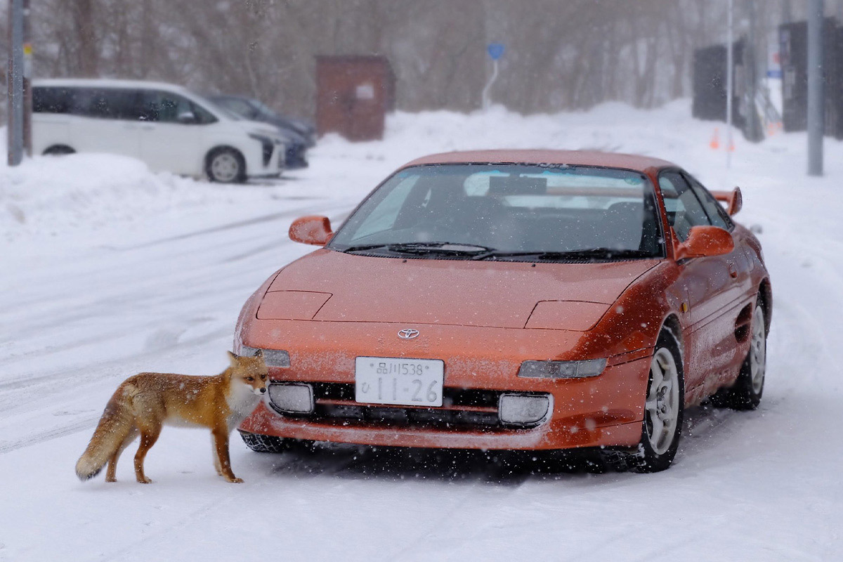 雪山の愛車に訪れた奇跡の瞬間【写真：本人提供】