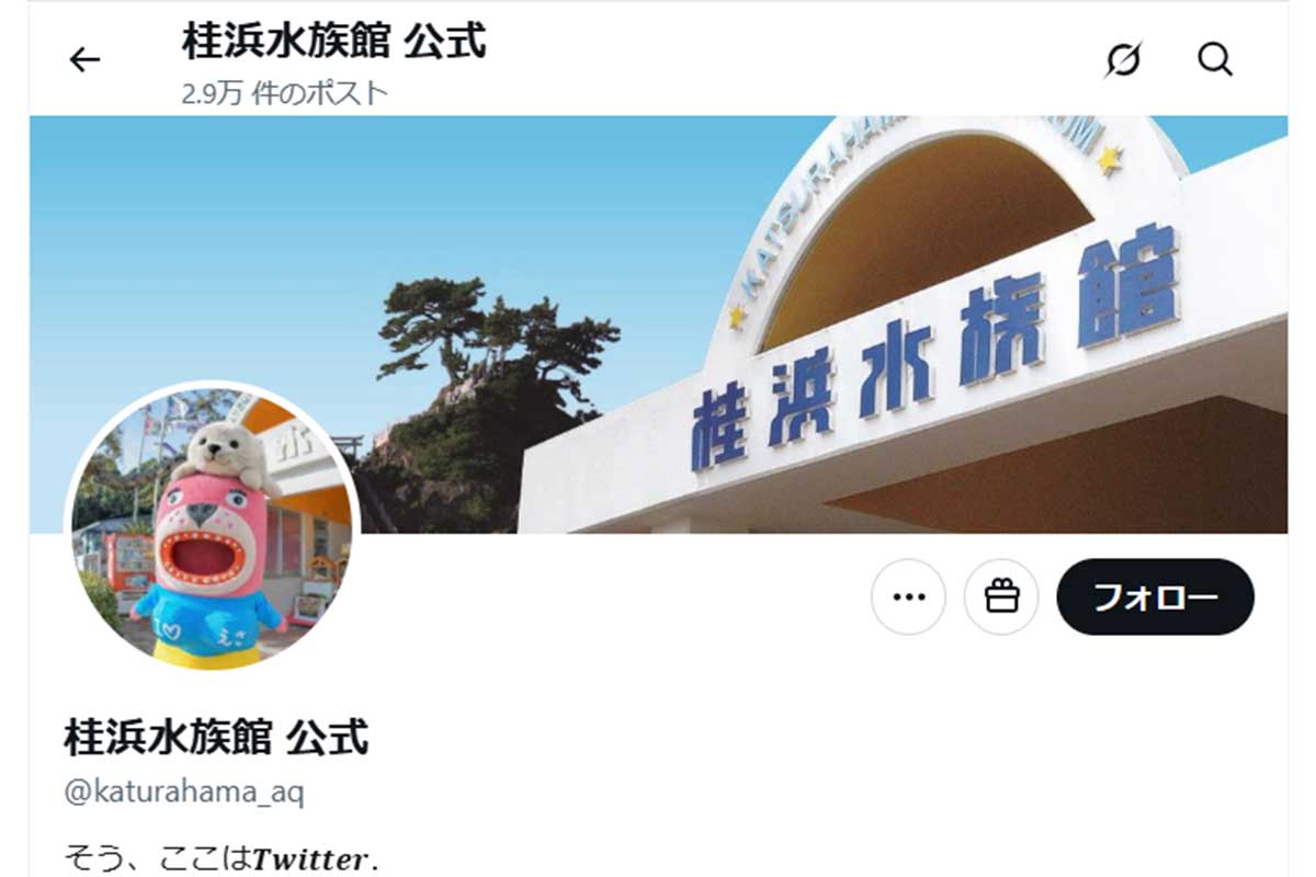 「なに見せつけられてんの？」水族館公式Xで突然見つめ合う男女スタッフの姿　ネット騒然「どうゆうこと？」