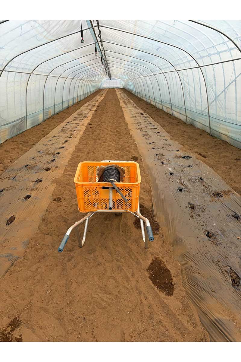 根こそぎ苗が抜き取られたビニールハウスの中【写真：本人提供】