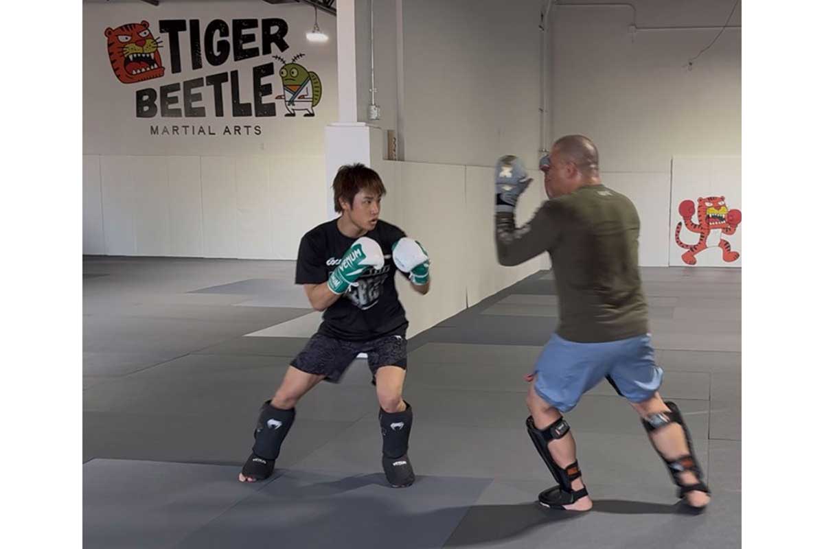 調整は順調と明かした【写真：(C)THE BLACKBELT JAPAN / UFC】