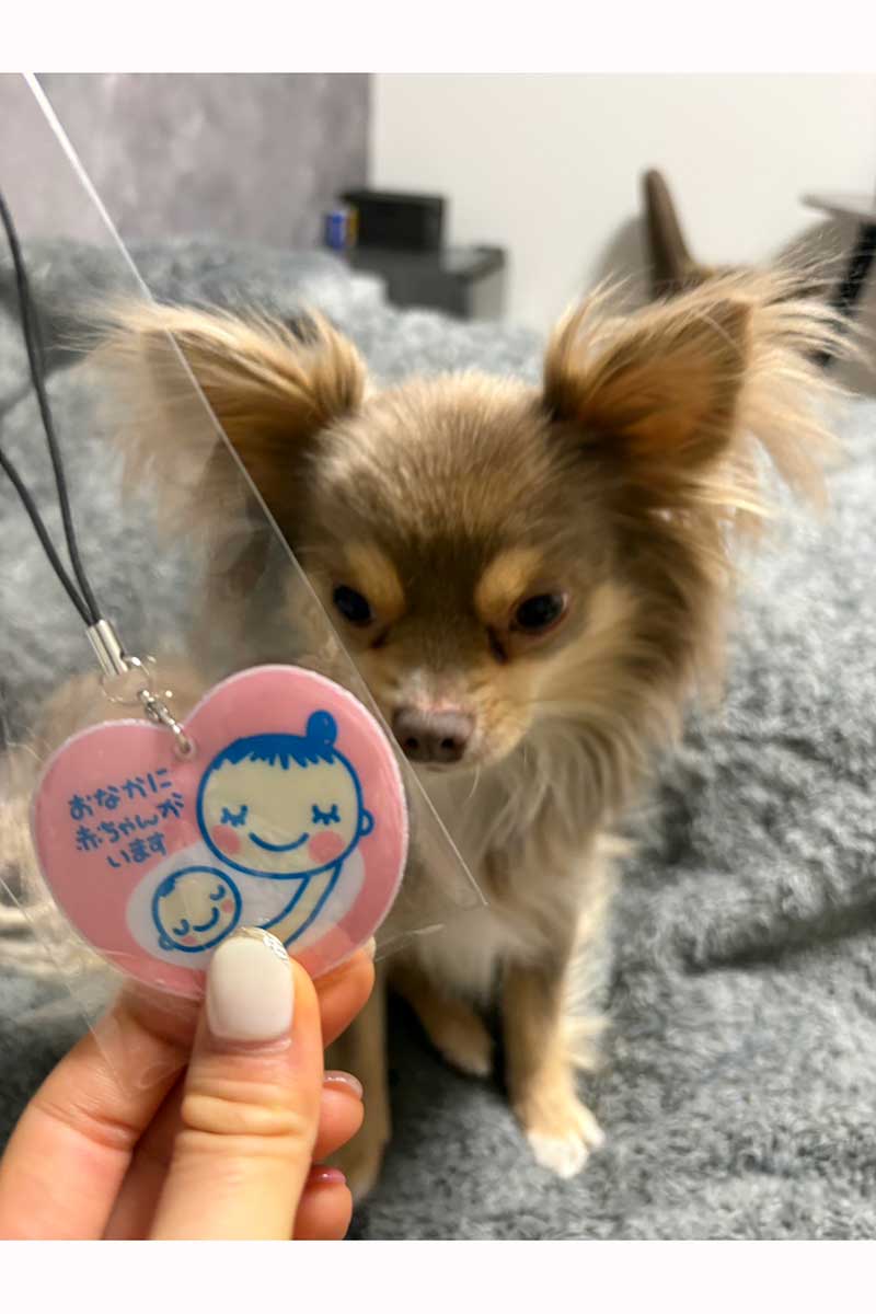 伊澤星花の愛犬とマタニティーマーク