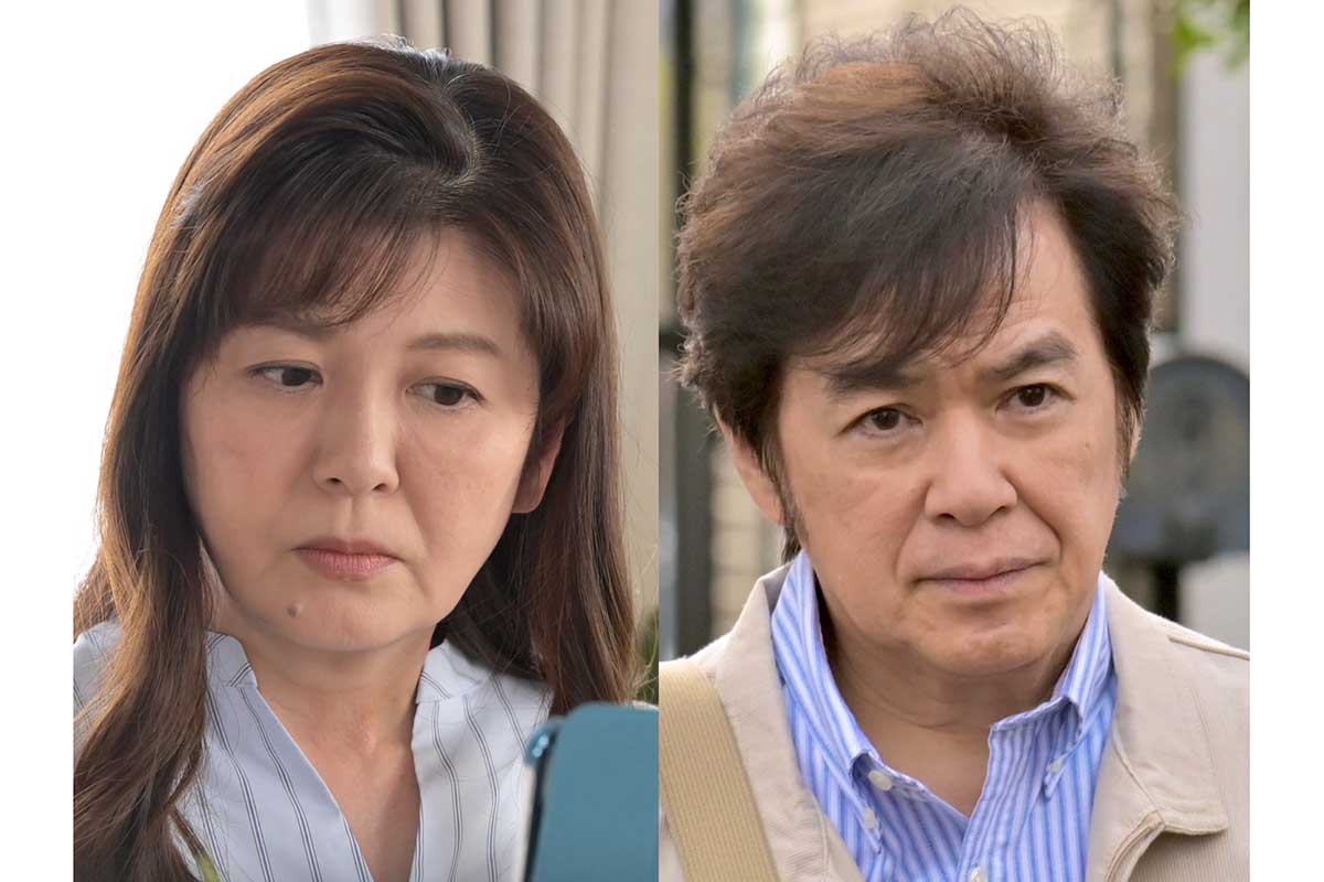 南野陽子＆植草克秀がドラマ初共演　『ボーダレス』に80年代トップアイドルが登場