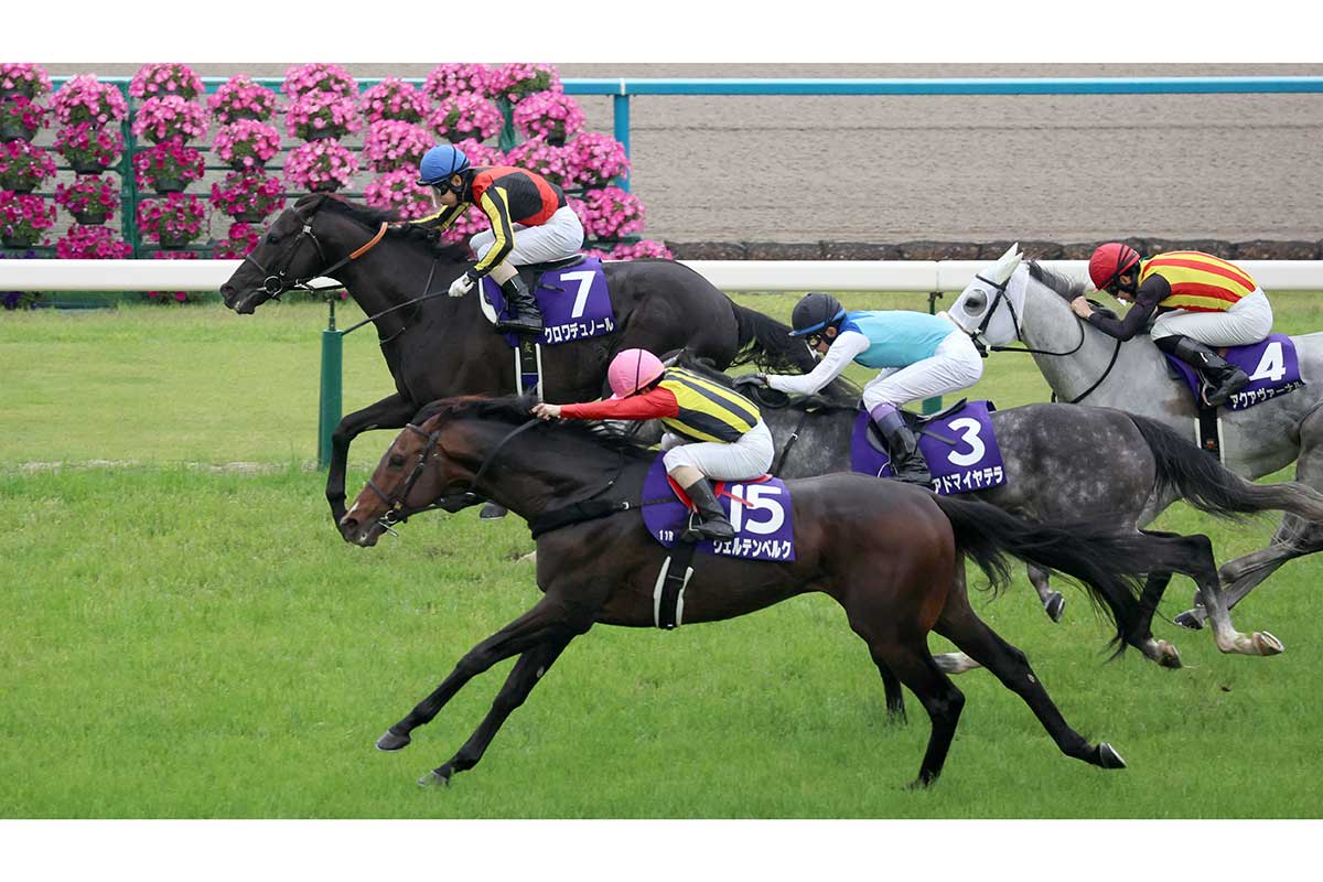 ハナ差で「0」か「700万円」…天皇賞で仰天馬券的中　「マジで未来人？」「こんな買い方できない」ネット衝撃
