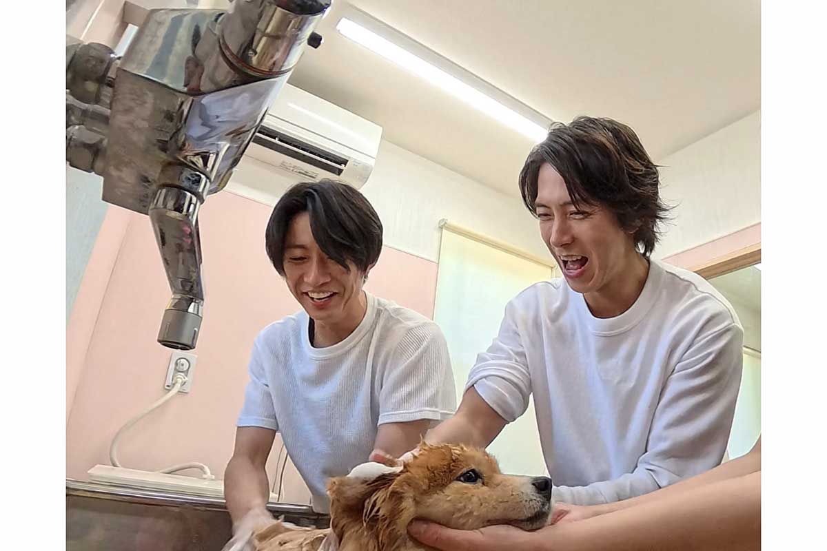 山下智久、相葉雅紀の“保護犬トリミング企画”に初登場　多頭飼育崩壊の現場でレスキューに挑む